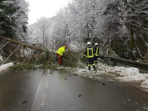 Mehrere umgestürzte Bäume mussten in Breckerfeld beseitigt werden.